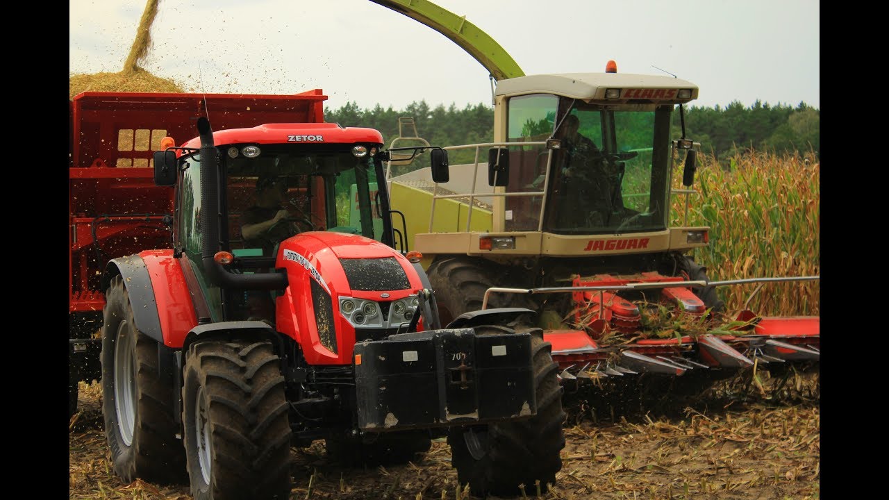 Kukurydza na kiszonkę w GR Kraszewscy  | ZETOR | NEW HOLLAND | DEUTZ FAHR | JOHN DEERE | CLAAS |
