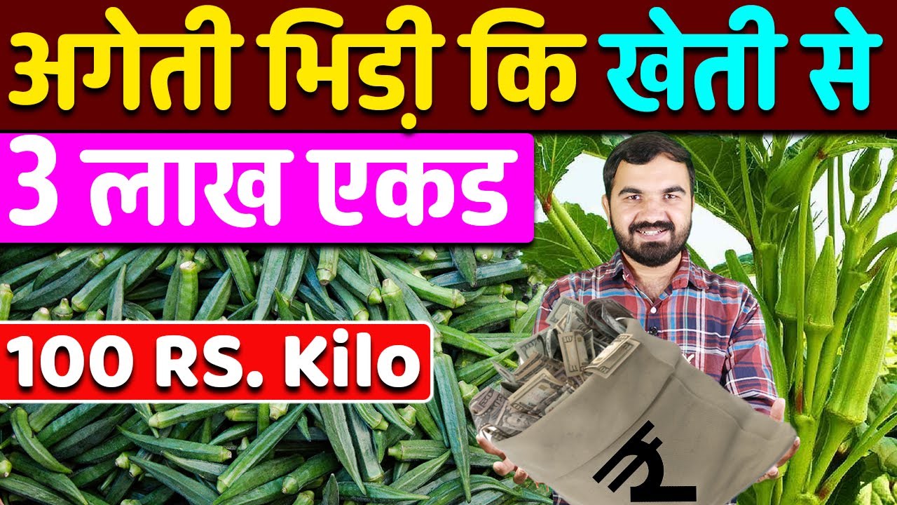 अगेती भिंडी से 3 लाख कमाए | Bhindi ki kheti | okra Farming | Lady finger farming | bhindi plant seed