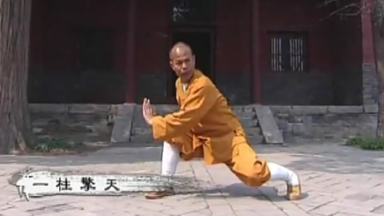 SHAOLIN KUNG FU: Emperor's Long-range tactics (taizu chang quan)
