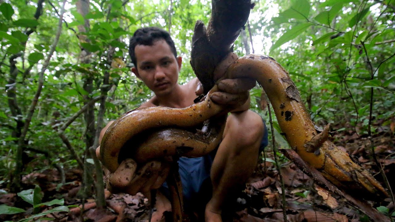 Wilderness Life Amazing Cooking Wild Eels Soup Every Delicious