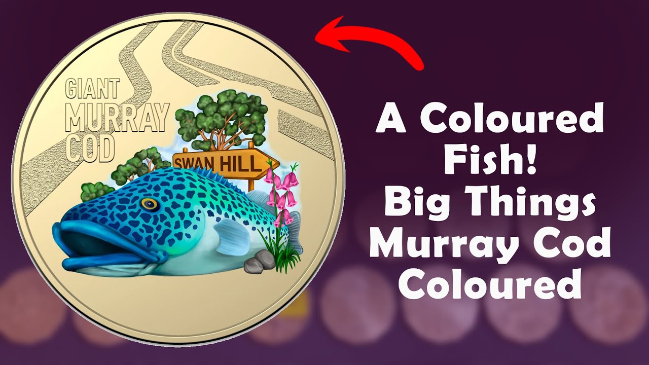 A Coloured Fish! Big Things Murray Cod Coloured