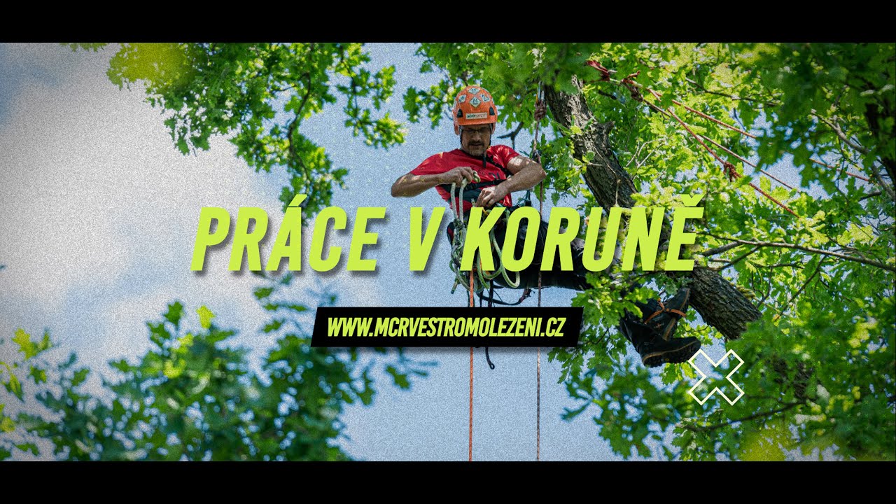MČR ve stromolezení - Práce v koruně