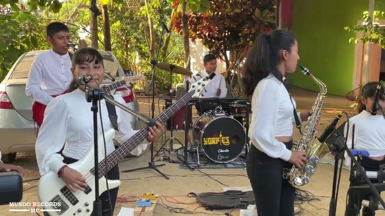 Así se bailó El Burro Loco (el amigo Chelo)/son tlacololeros con LOS YORKLES