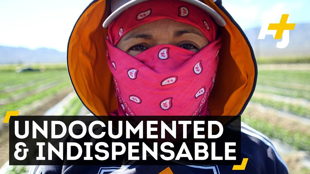 Meet The Undocumented Coachella Farmworkers Feeding America