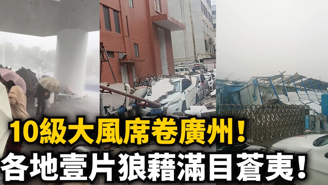 10級大風席卷廣州！各地陷入壹片狼藉！百年老樹被連根拔起！街上滿目蒼夷！佛山廠房宿舍被連片吹倒！上班牛馬吹風又淋雨！