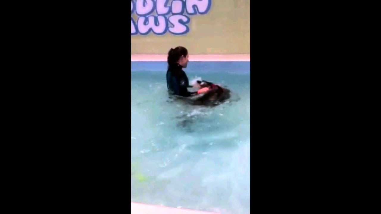 Learning to swim!
