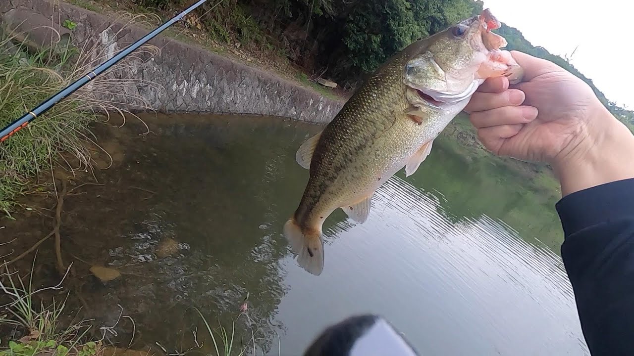 [ASMR] bass fishing ASMR