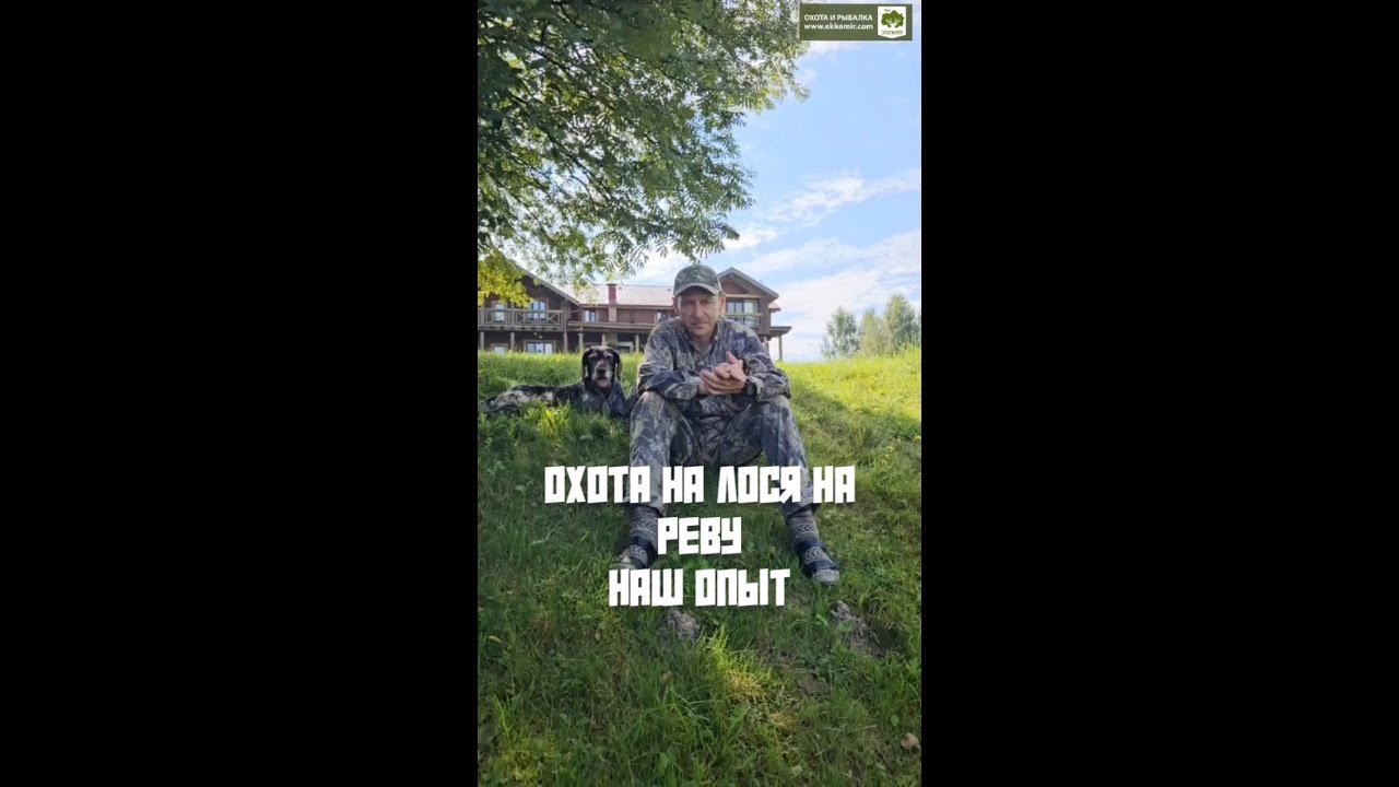 Охота на лося на реву: как манить