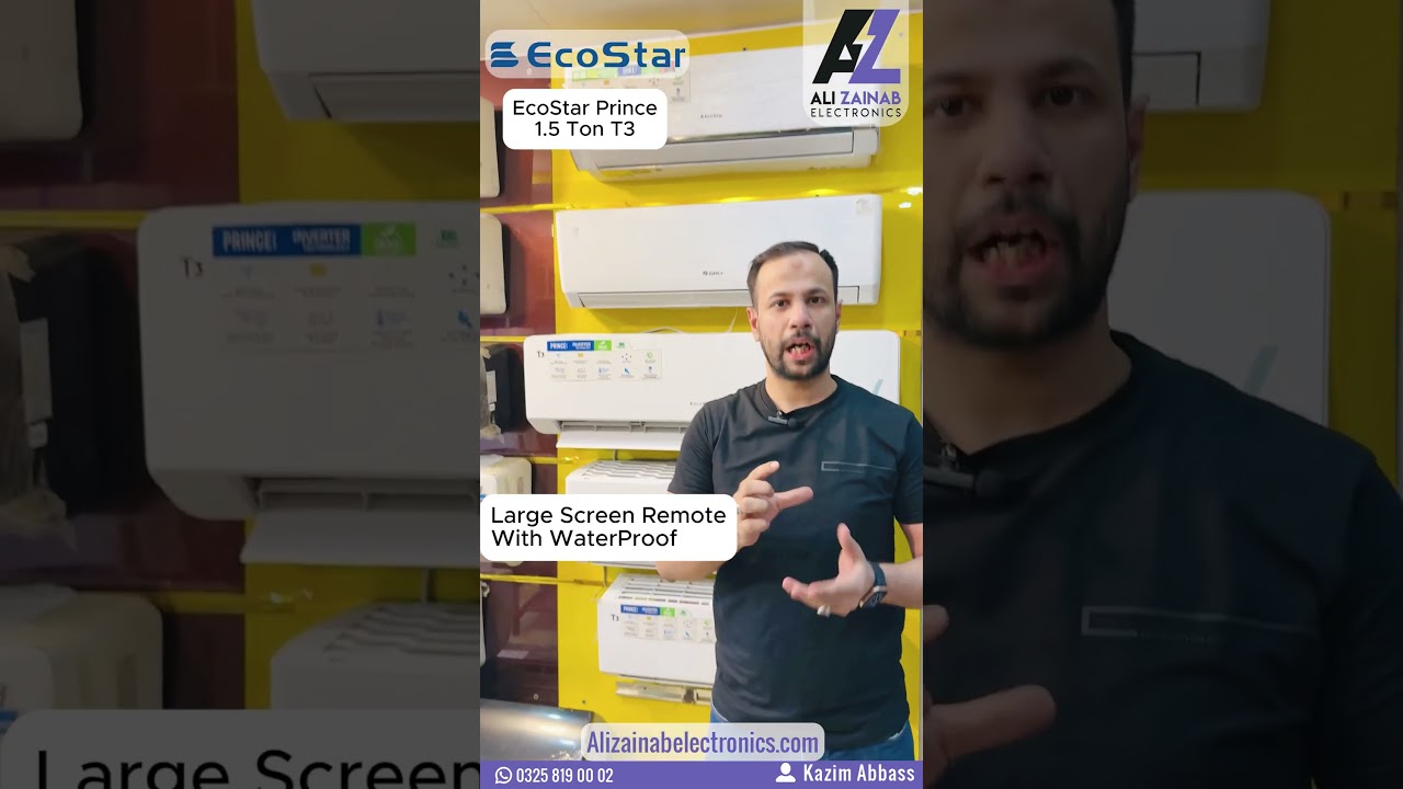 Ecostar Real T3 (Prince) Inverter Review