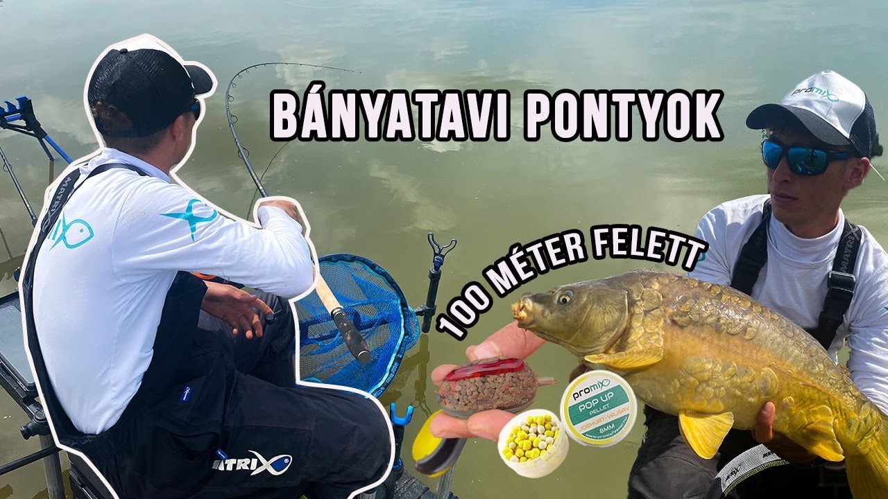 Bányatavi Pontyok 100 Méter Felett