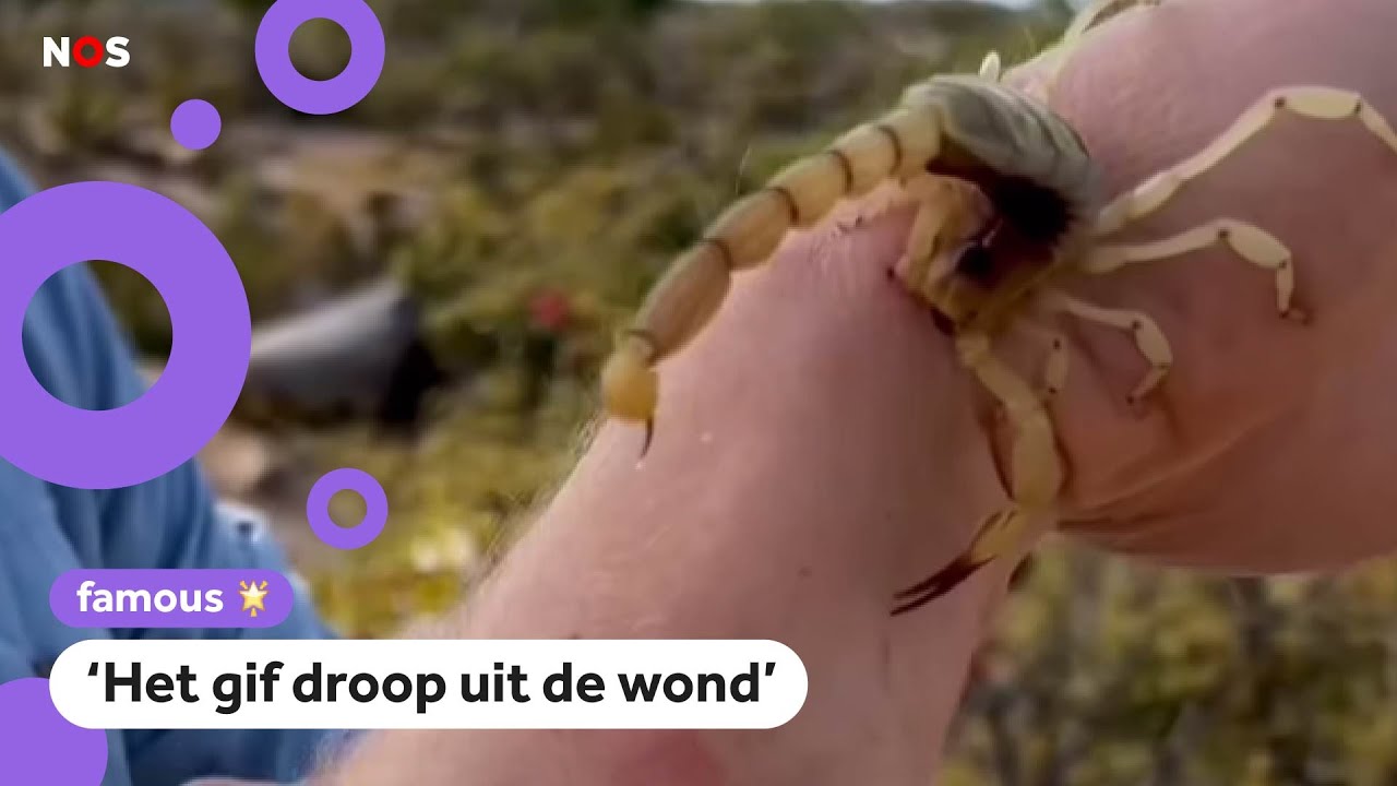 Freek Vonk gestoken door schorpioen