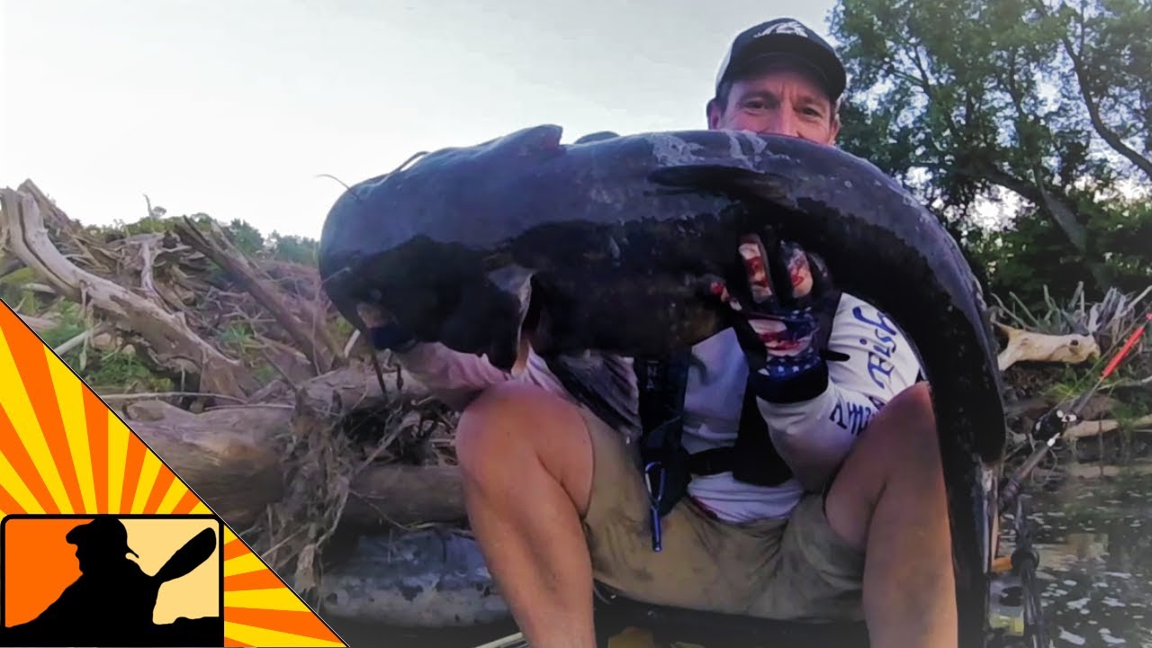 Little Green Sunfish Finds BIG Flathead Catfish | Kayak Catfishing