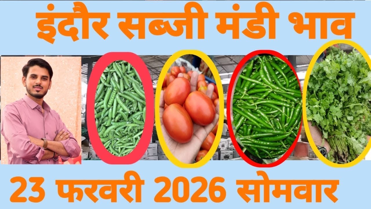 23 February 2026 मिर्ची मे मद्दी 😲 तो निम्बू मे तेजी 🤩// सब्जी मंडी इंदौर #vegetables 