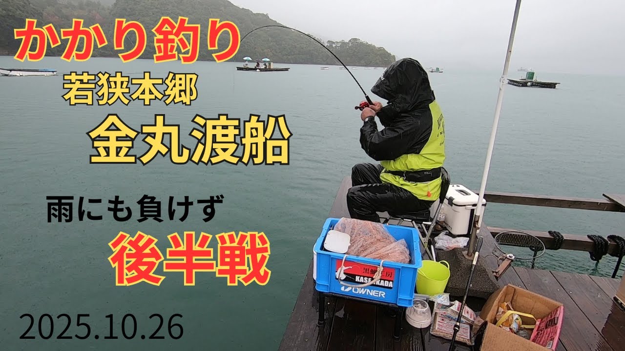 【かかり釣り】若狭本郷金丸渡船2025.10.26後半