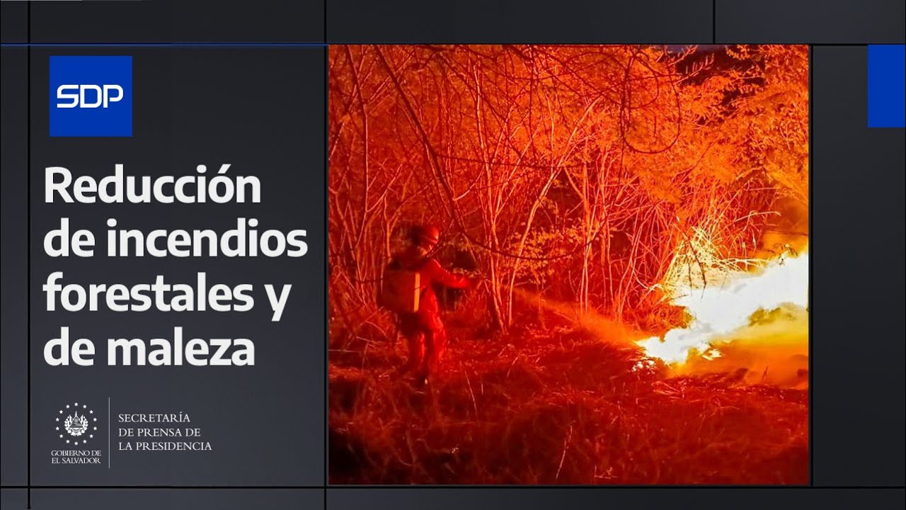 El Gobierno del Presidente Nayib Bukele trabaja en la prevención y disminución de incendios