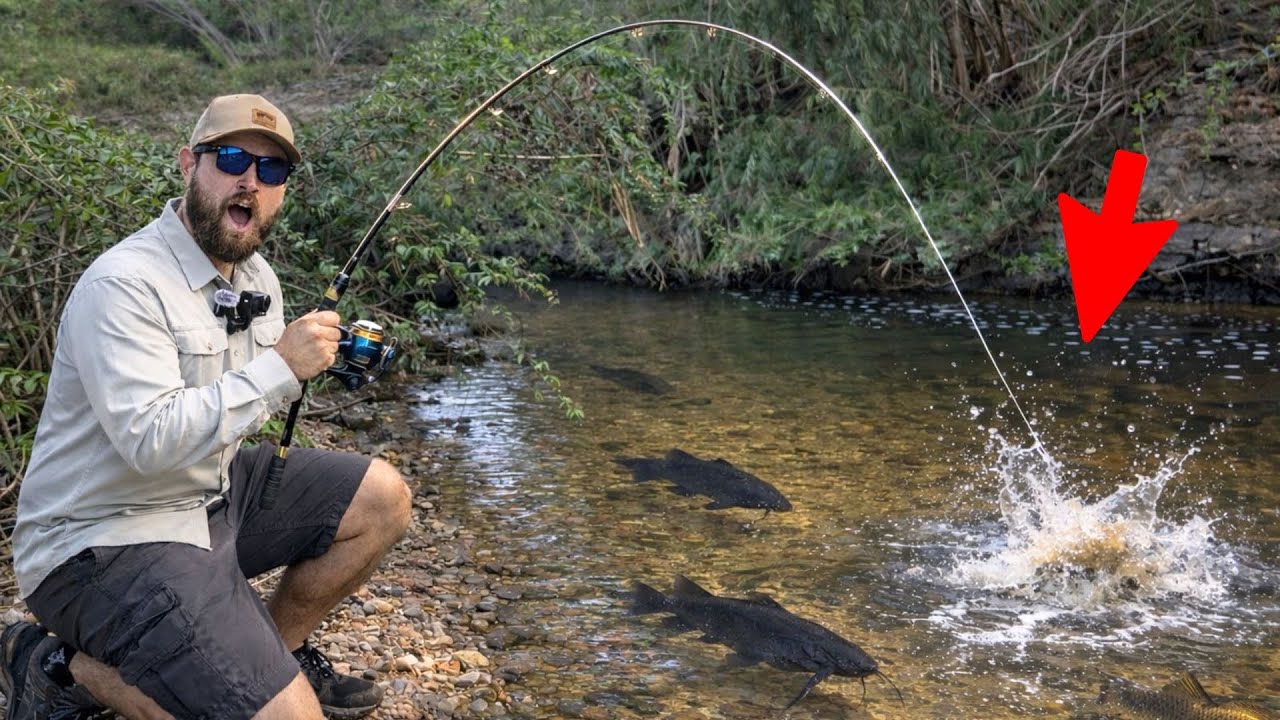 I Found a Tiny Desert River LOADED w/ Fish!