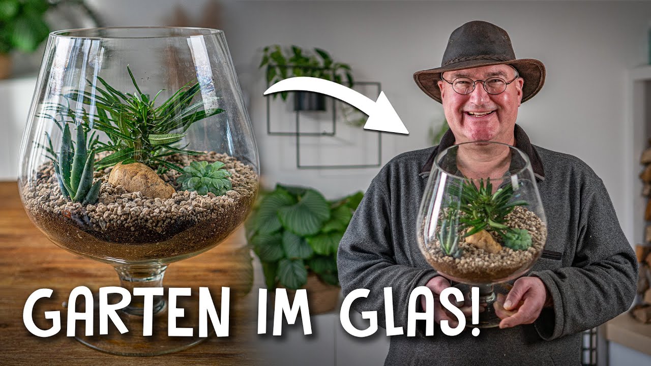 Mini Biotop selber bauen! 🌴 Die perfekte Einrichtung für dein Wohnzimmer