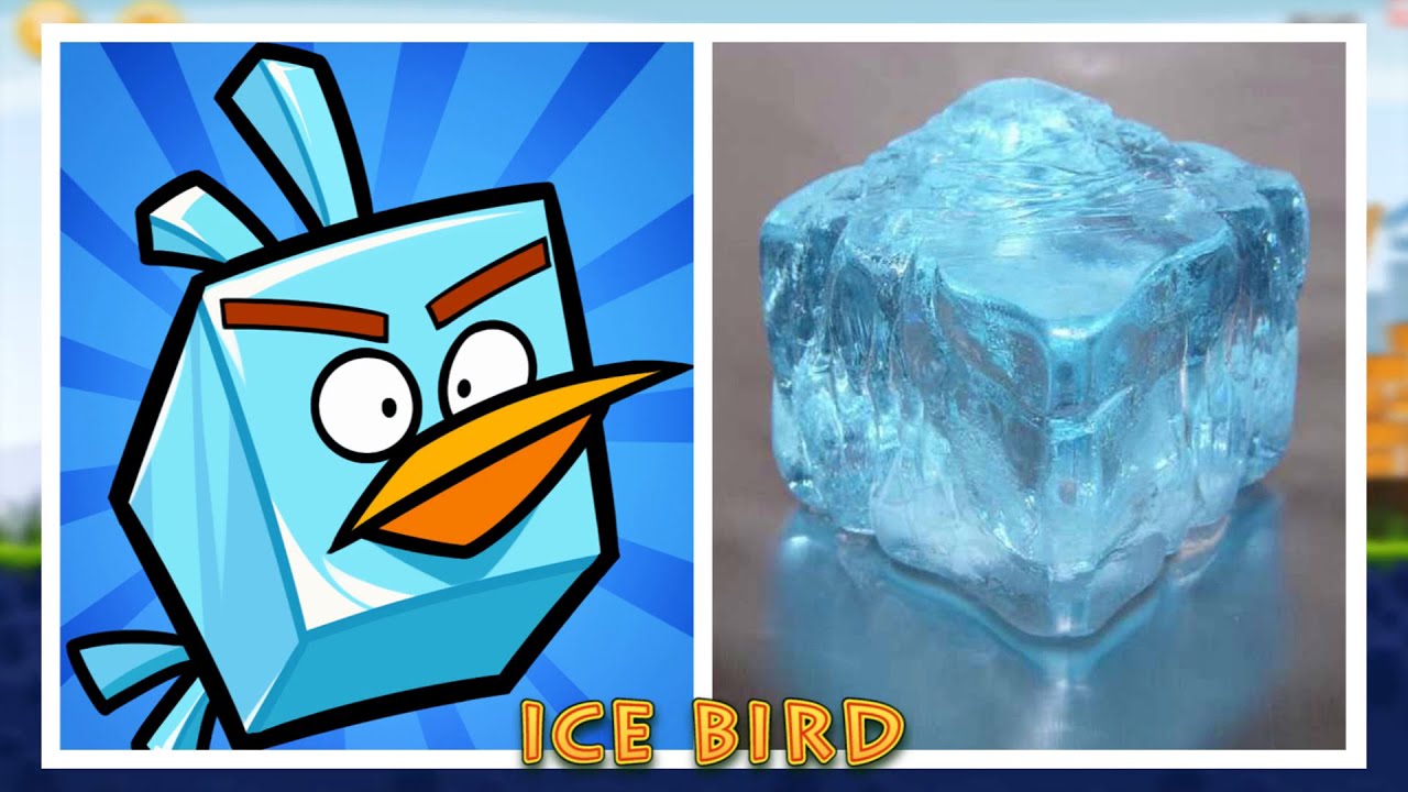 Angry Birds Characters In Real Life