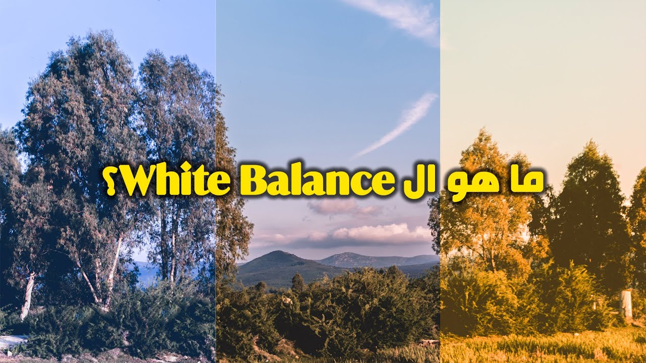ما هو توازن اللون الأبيض؟ - White Balance