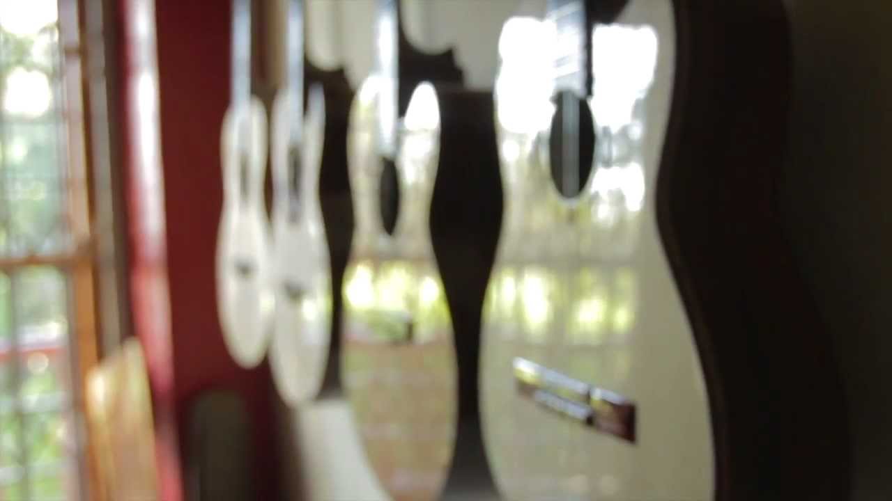 MARC MAINGARD - making trees sing again