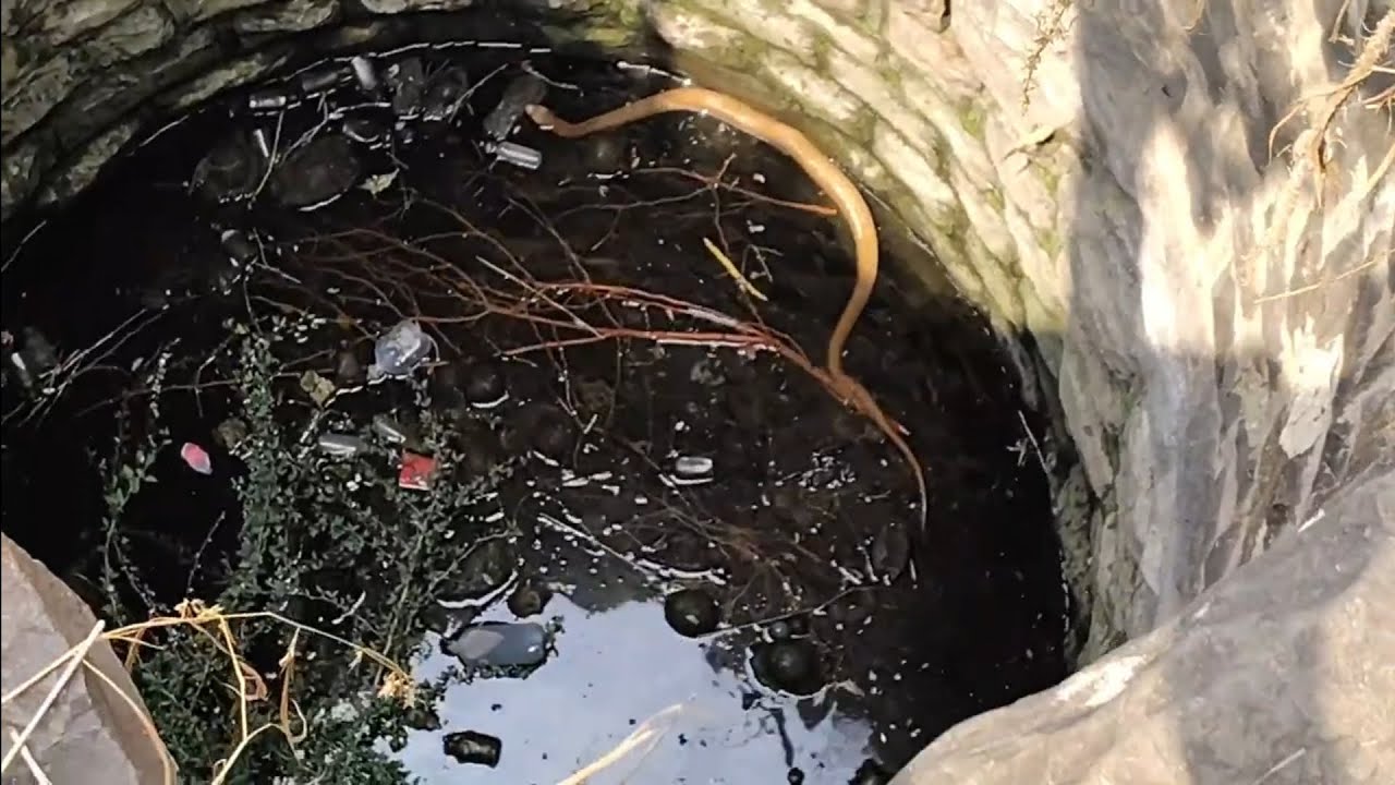 खोल विहिरीतून केला नाग साप रेस्कू पहा 🫢