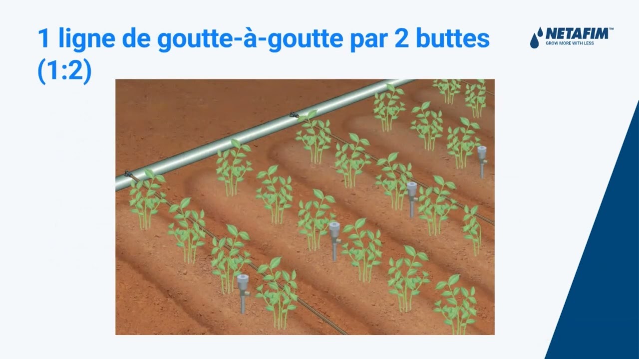 Webinaire : Solutions d’irrigation de précision sur pomme de terre.