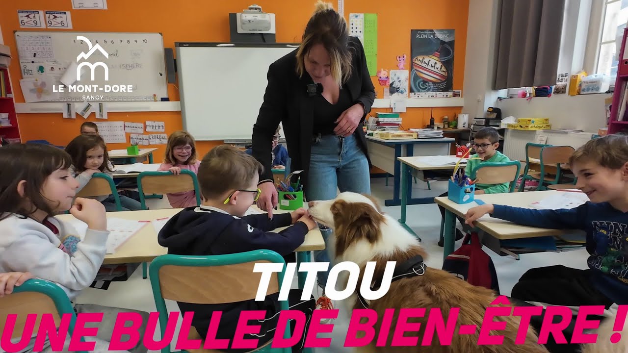 La classe de PS CP de l’école du Mont Dore intègre la médiation animale avec TITOU.