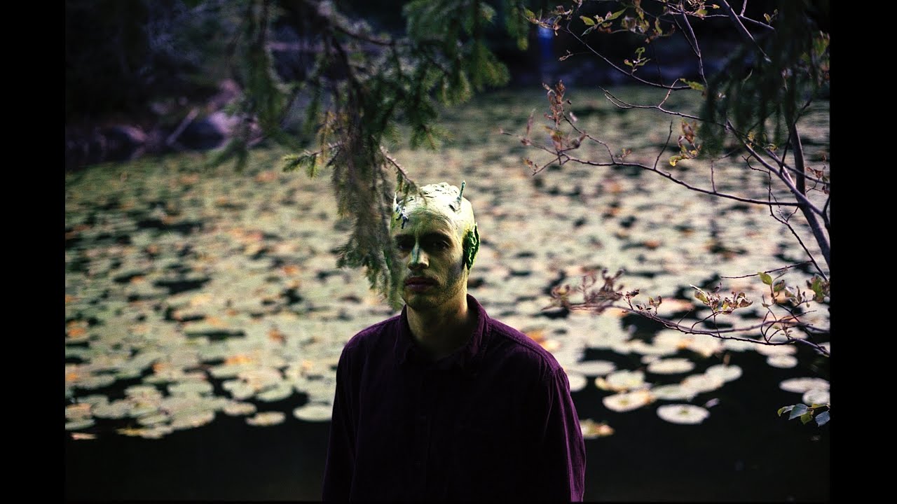 Skov - En fyr å gå lei