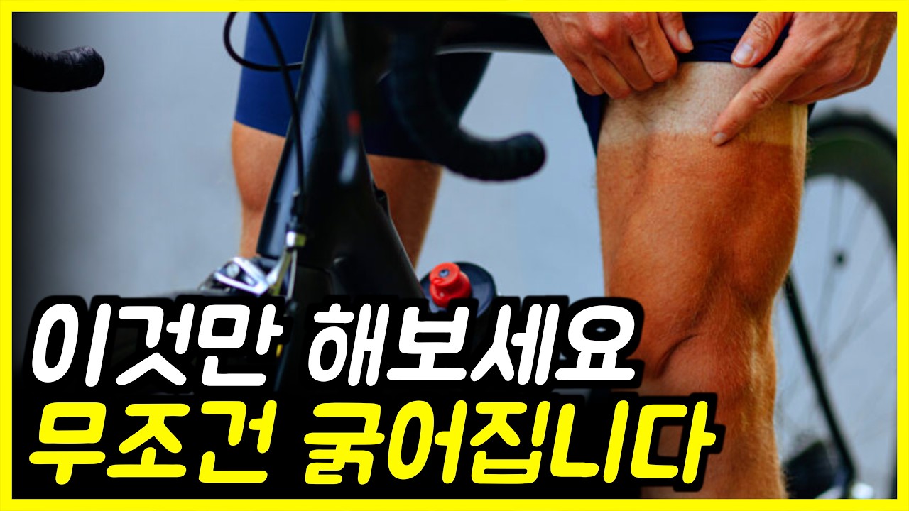자전거 매일 타도 허벅지가 굵어지지 않는 이유 | 자전거운동, 즈위프트