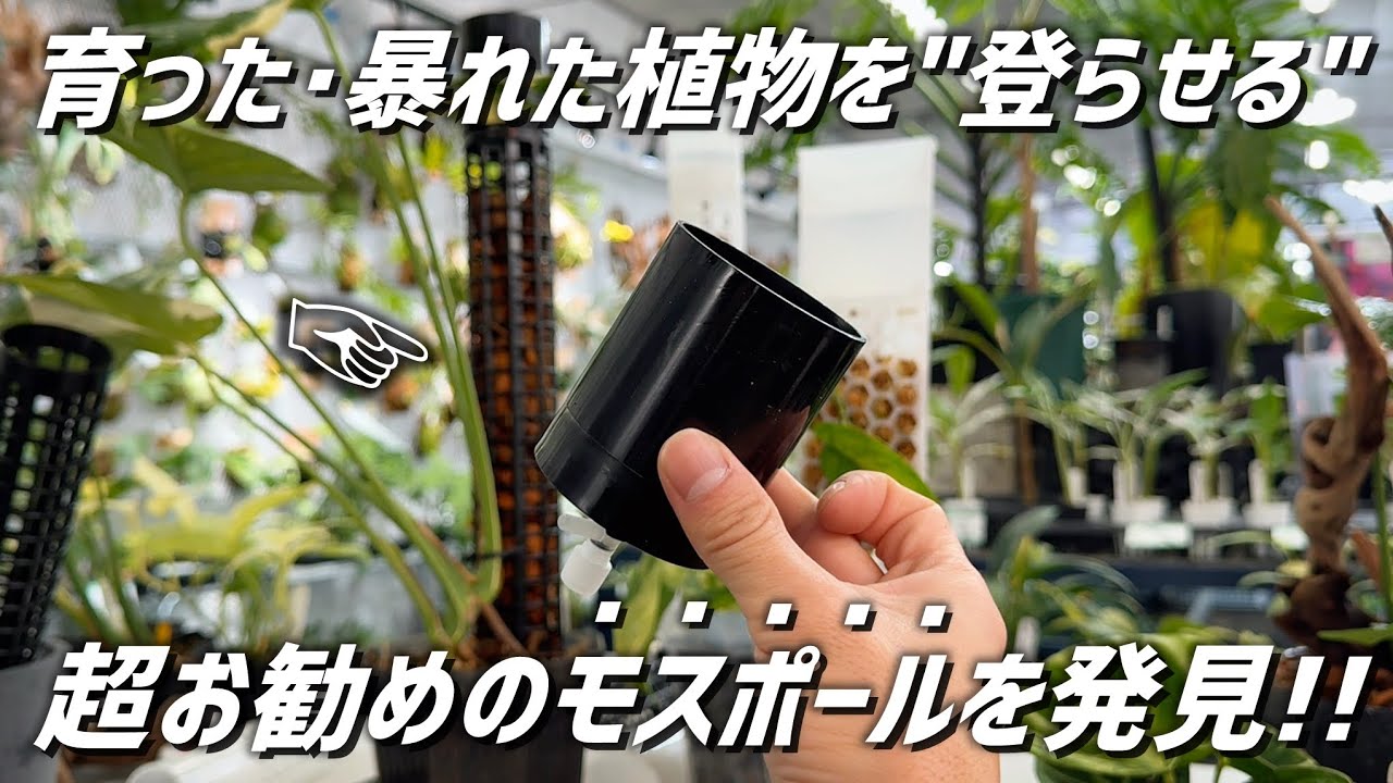 【モスポール･登り棒】今までに無かった気の利いた商品が届いたのでご紹介!!