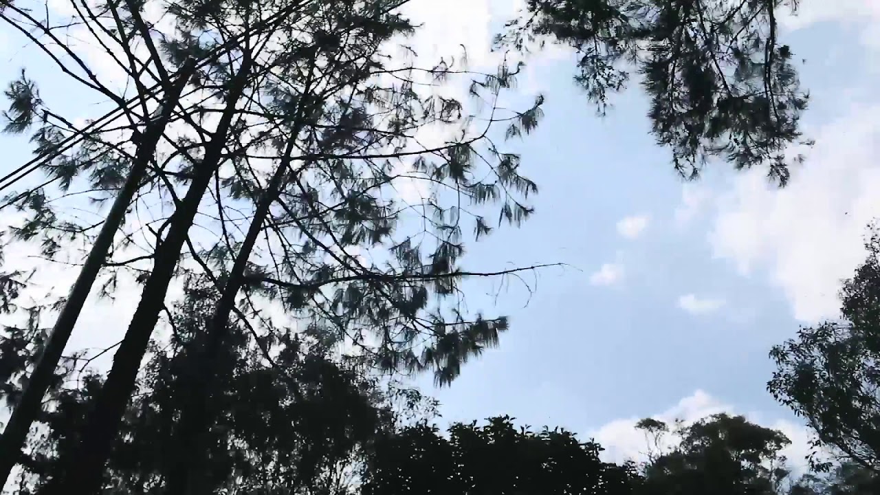 Dubber Up 4 - film by Jxrge Hernandez