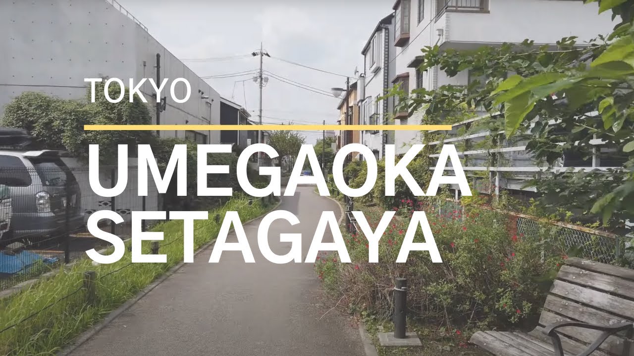 [4k] Beauty of Tokyo Setagaya-Ku, Umegaoka (梅が丘) Bicycle Riding