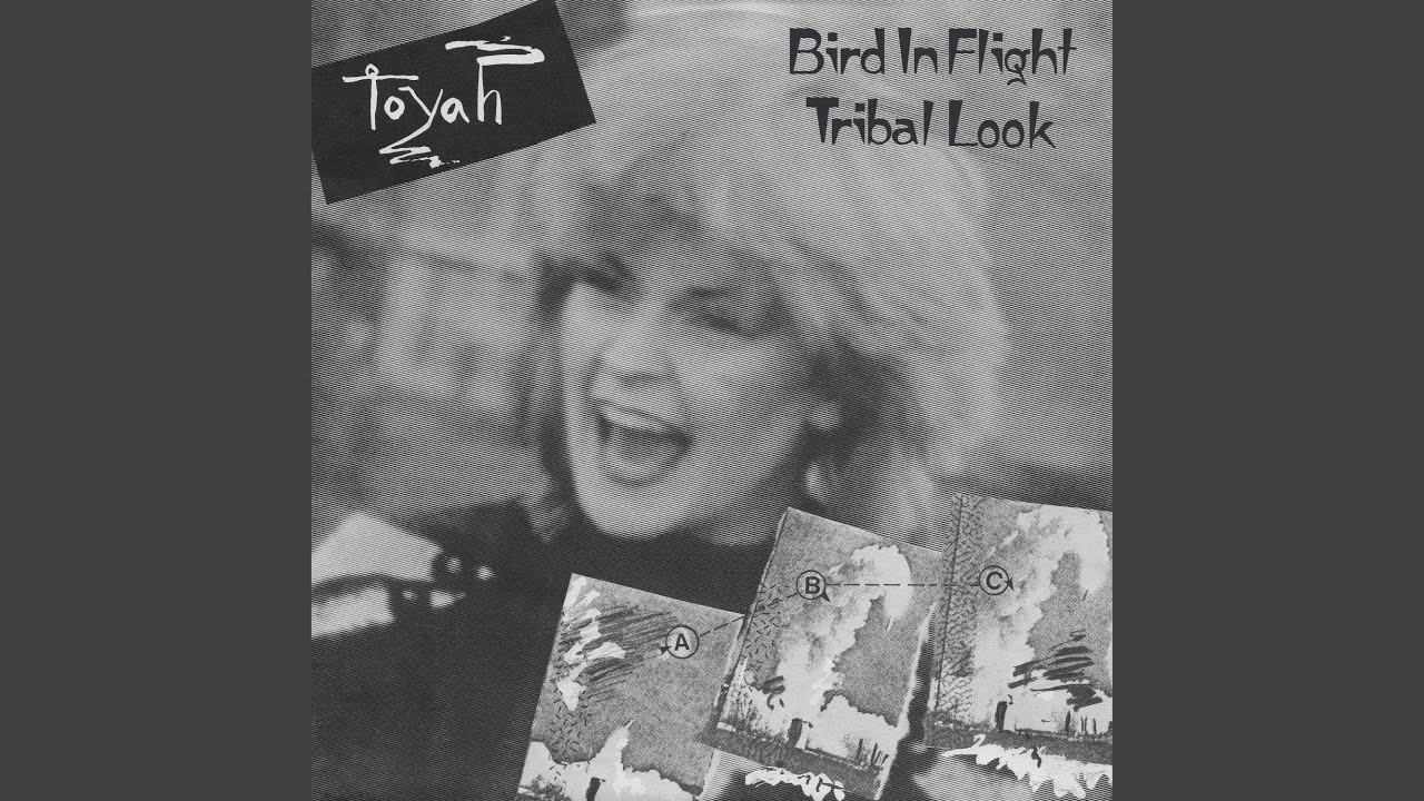Bird In Flight (2020 Remaster)