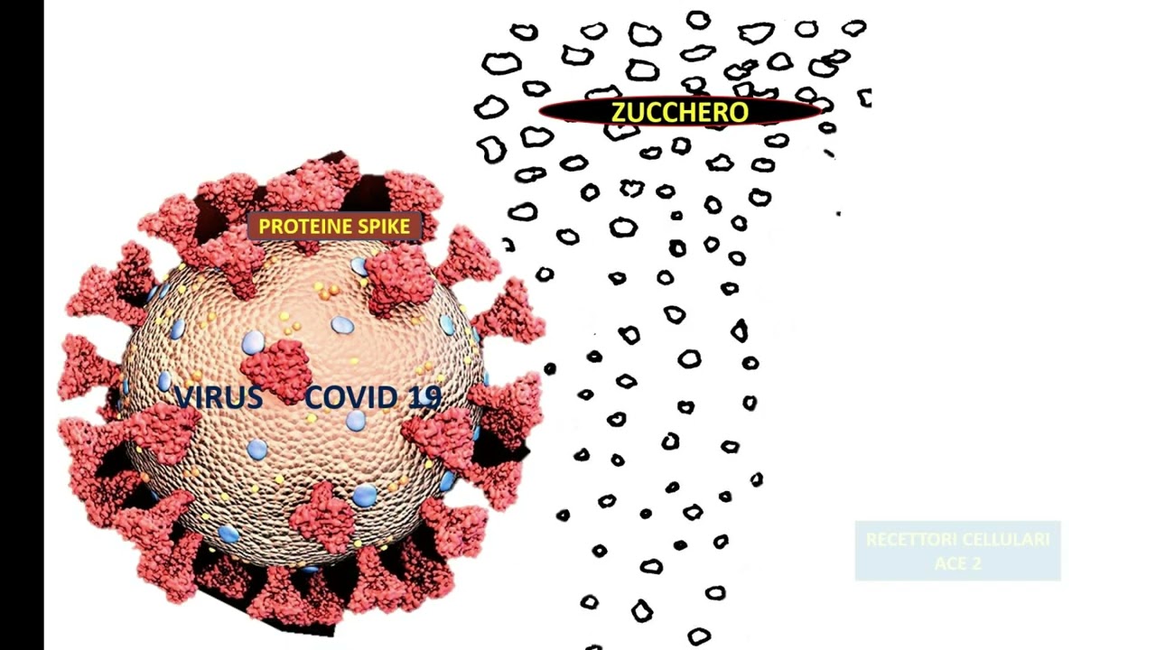 Emoglobina glicata per scoprire una glicemia fuori controllo