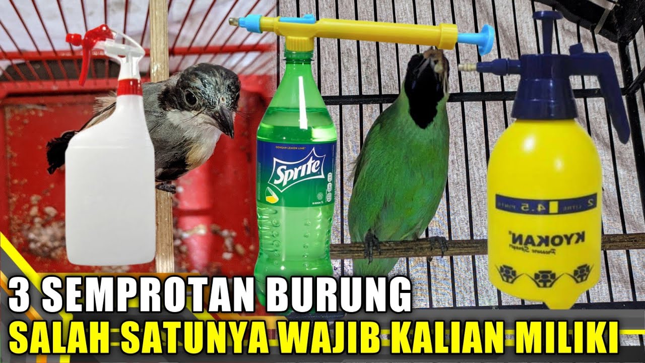Rekomendasi Spray gun Burung Murah Dan Pastinya Awet