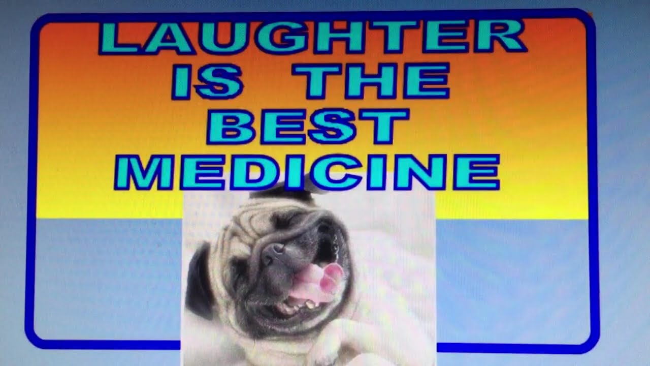 PUPPY SAYS ! --- Comedy , POV , Memes , Best Jokes, Rick Spicer ,#comedy #funny #pov #lifehacks