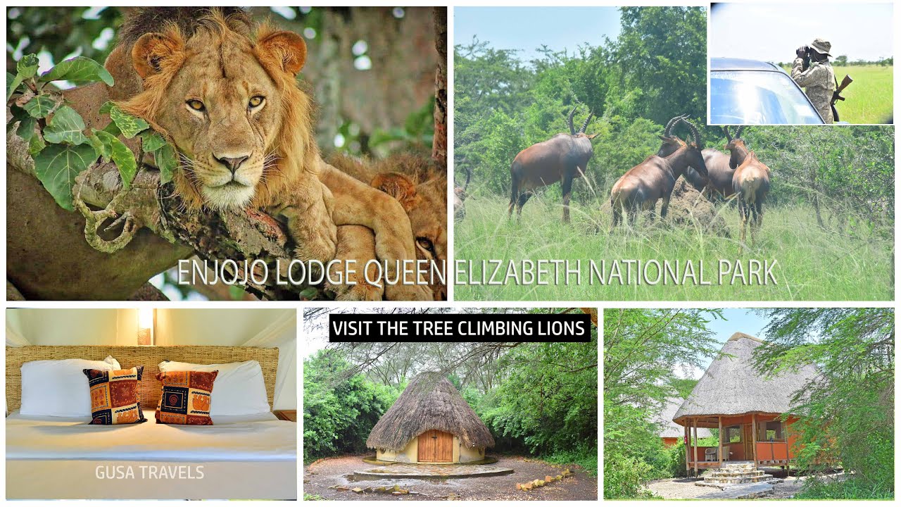 Enjojo Lodge   In #Queen Elizabeth National Park. #Sleepinthejungle #uwa #jungle #safari #UgandaWild