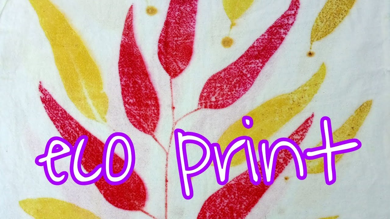 How to Make Eco print on Fabric - Eco Printing Fabric Tutorial - Eco Printing with streamer ep.4