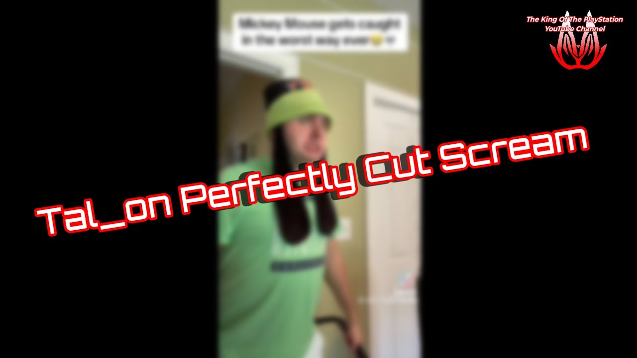 Tal_on Perfectly Cut Scream Compilation