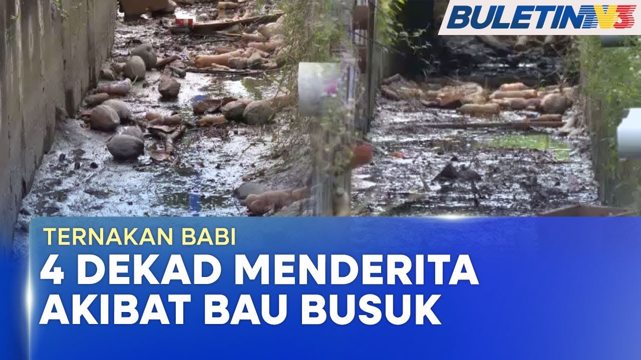TERNAKAN BABI | Penduduk Tanjung Sepat Mahu Kawasan Pulih Daripada Pencemaran (BU)