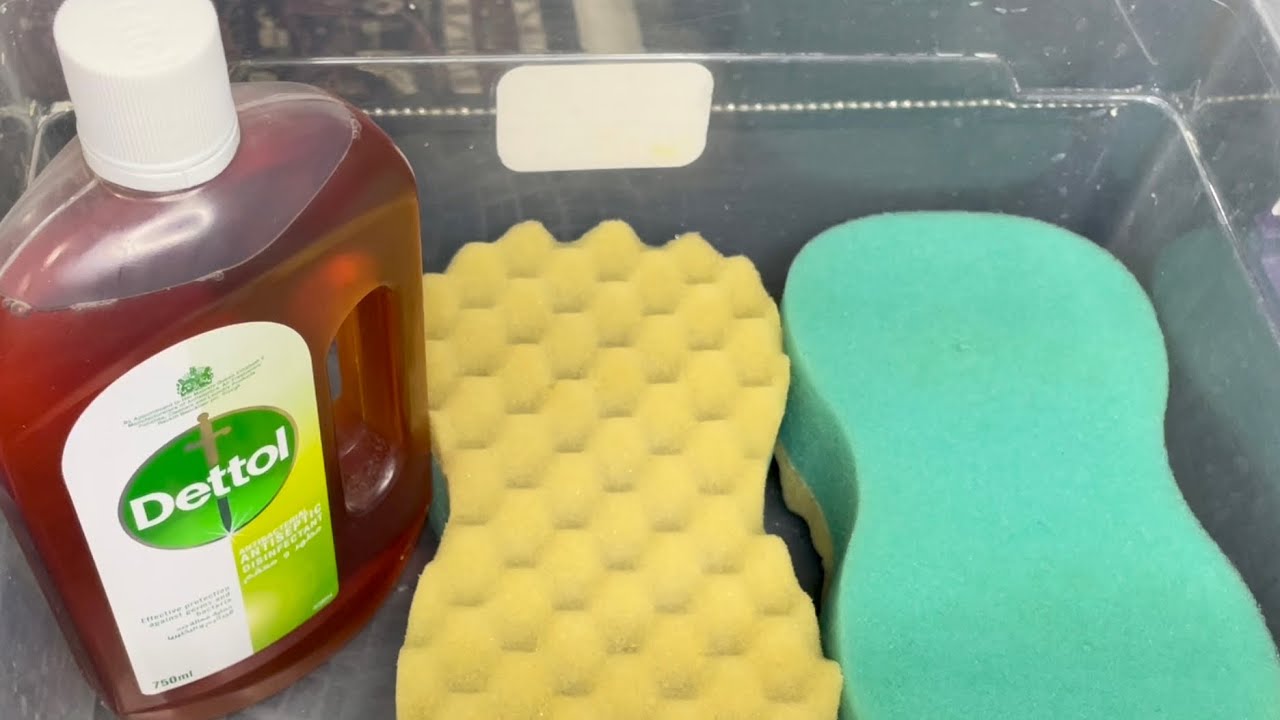 ✨ASMR Dettol 🤤 Sponge Squeezing✨