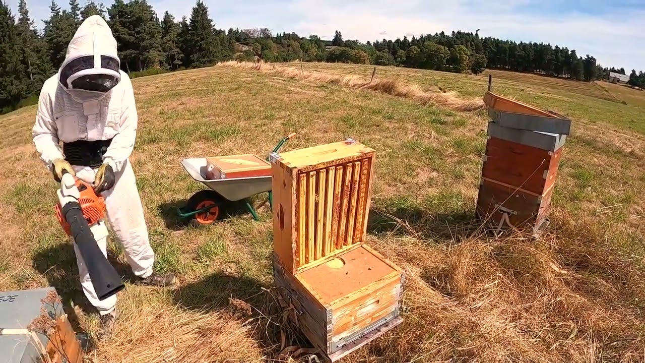 APICULTURE. E72 Chasses abeilles, 24h après on enlève les hausses | Récolte douce