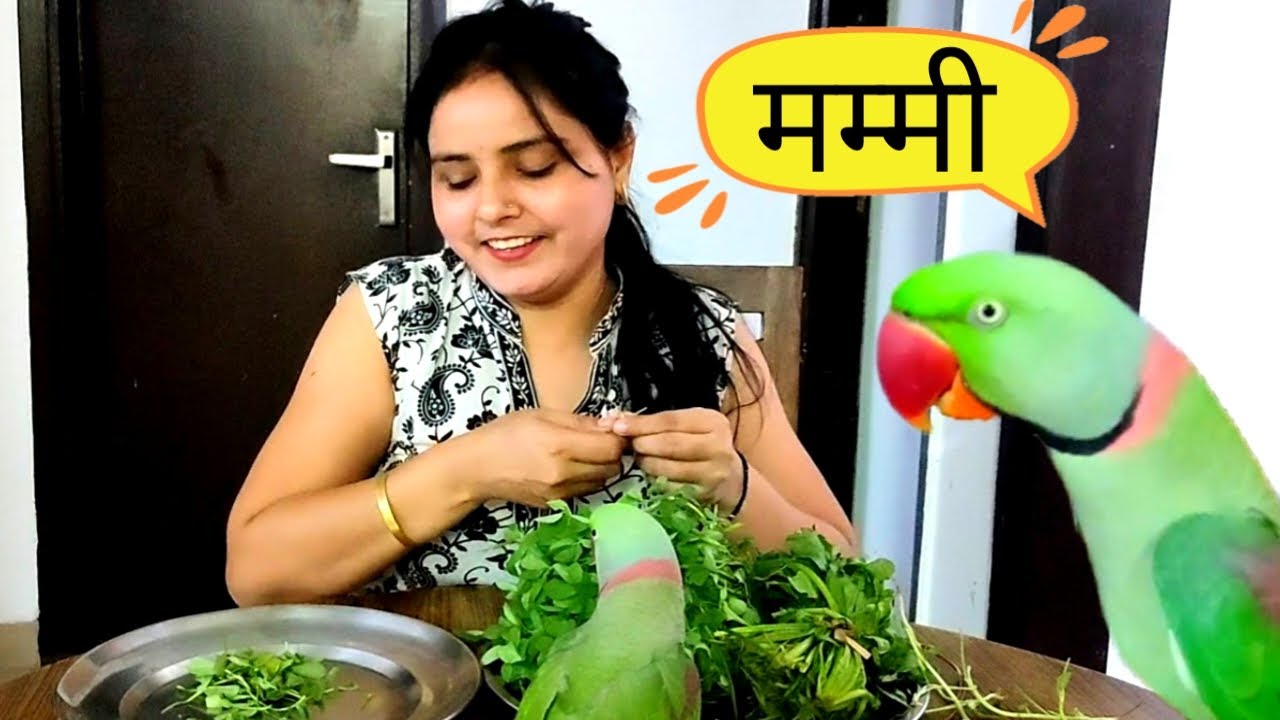 Pablo Mummy Ka Karega Saara Kaam 😁