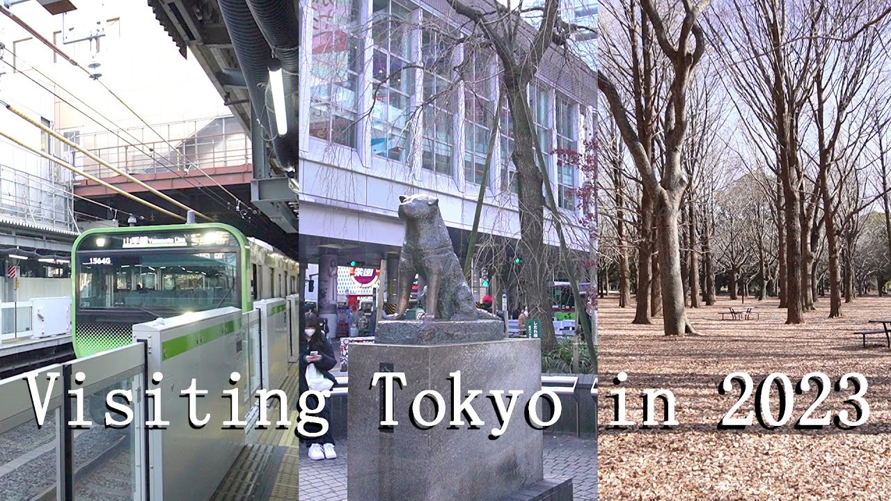 Tokyo in 2023 part 1 / Monorail from Haneda airport/ hotel&ramen  Akihabara  // Yoyogi park  Shibuya
