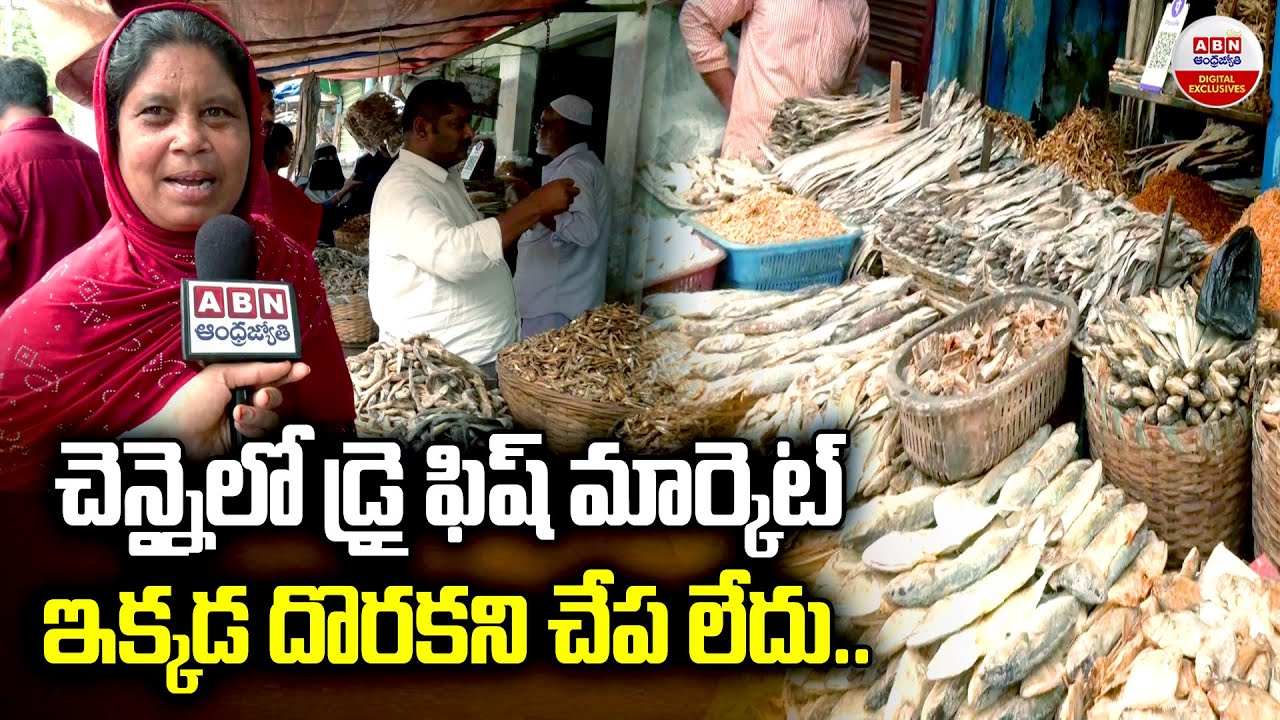 ఇక్కడ దొరకని చేప లేదు | Chennai Biggest Dry Fish Market | Every Fish You Can Imagine! | ABN Digital