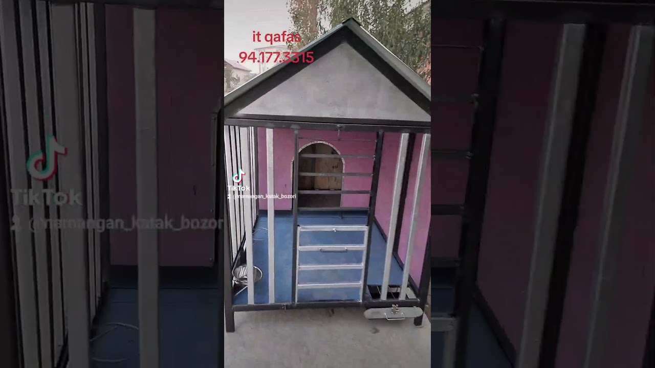 Itlarga zamonaviy qafas