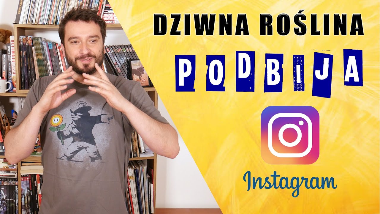 Dziwna roślina podbija Instagram [REUPLOAD] | NEWSY BEZ WIRUSA | Karol Modzelewski