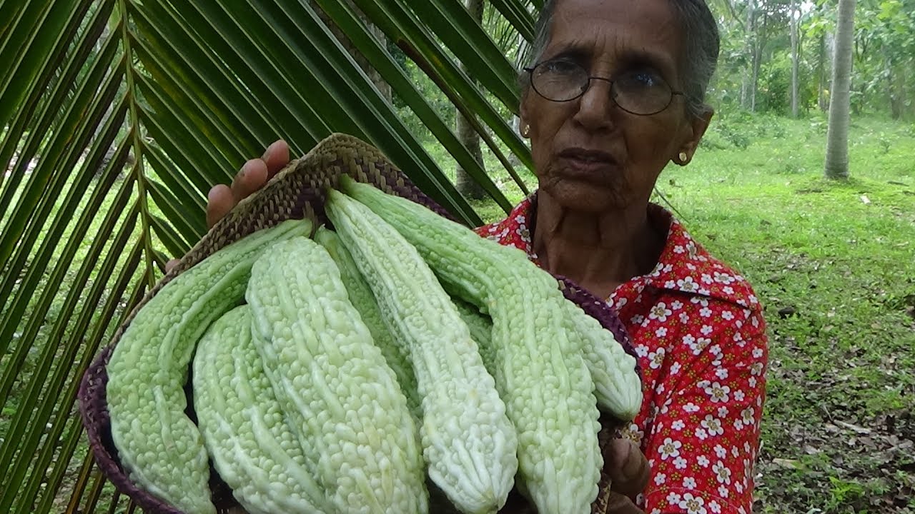 Village Foods ❤ Bitter Gourd Fry Recipe by our Grandma