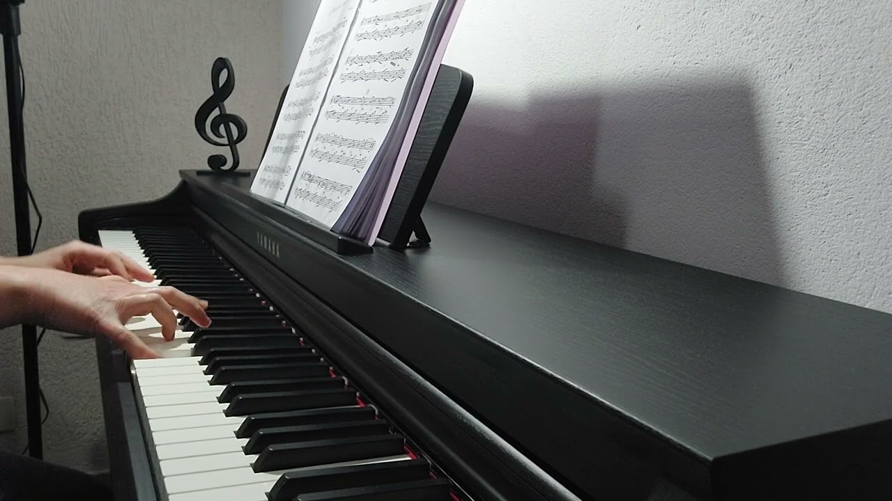 The House Of The Rising Sun ( Piano )