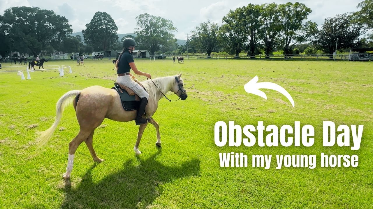 Taking my young horse to his first obstacle day under saddle